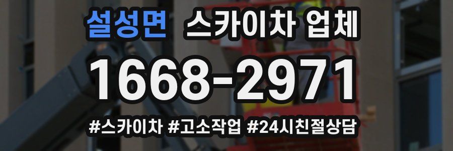 설성면 스카이차 업체