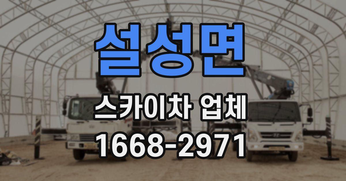 설성면 스카이차 업체