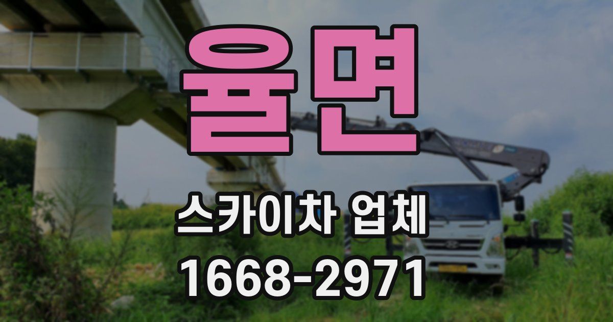 율면 스카이차 업체