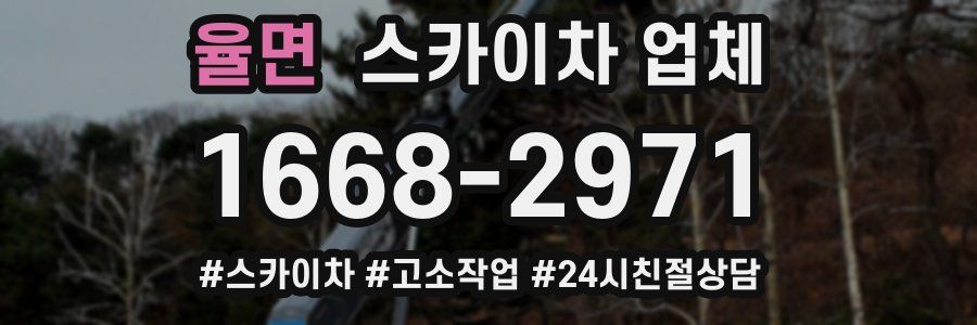 율면 스카이차 업체