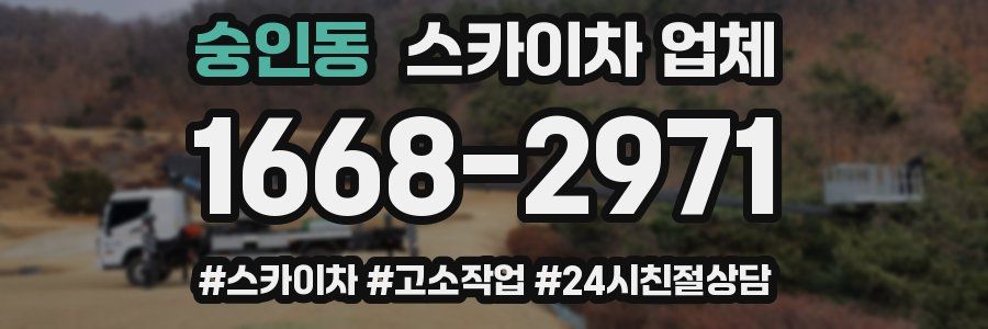 숭인동 스카이차 업체