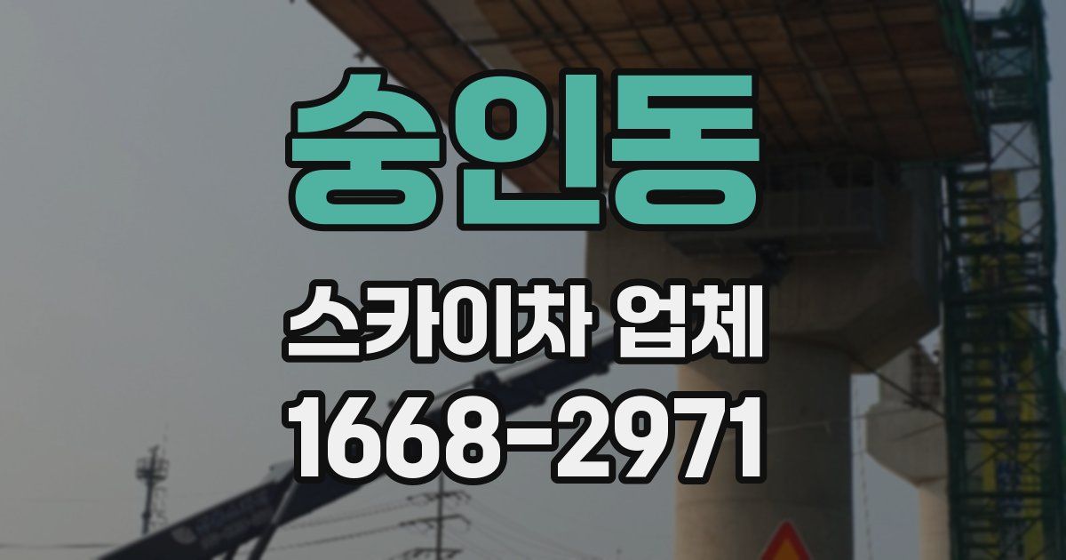 숭인동 스카이차 업체