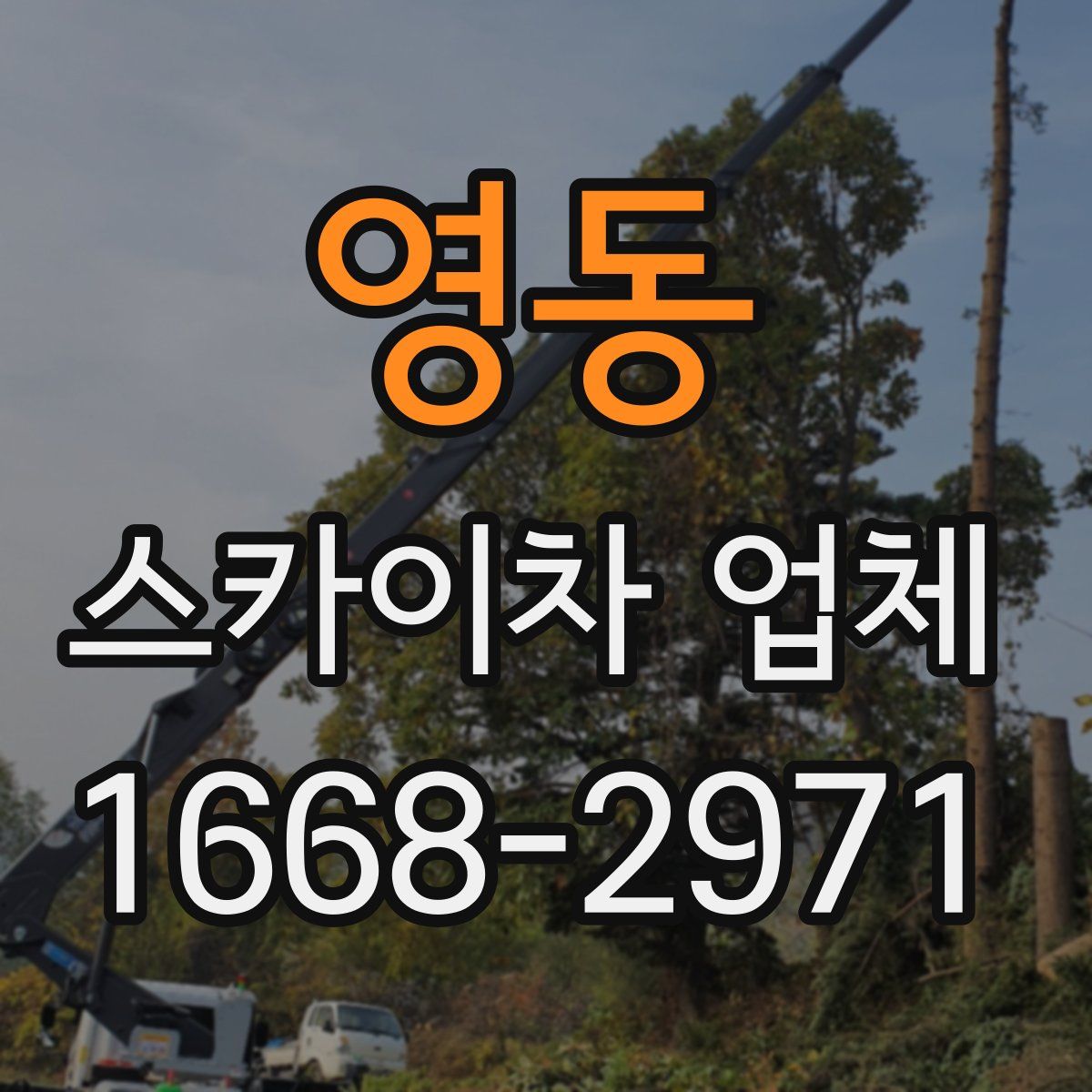 영동 스카이차 업체