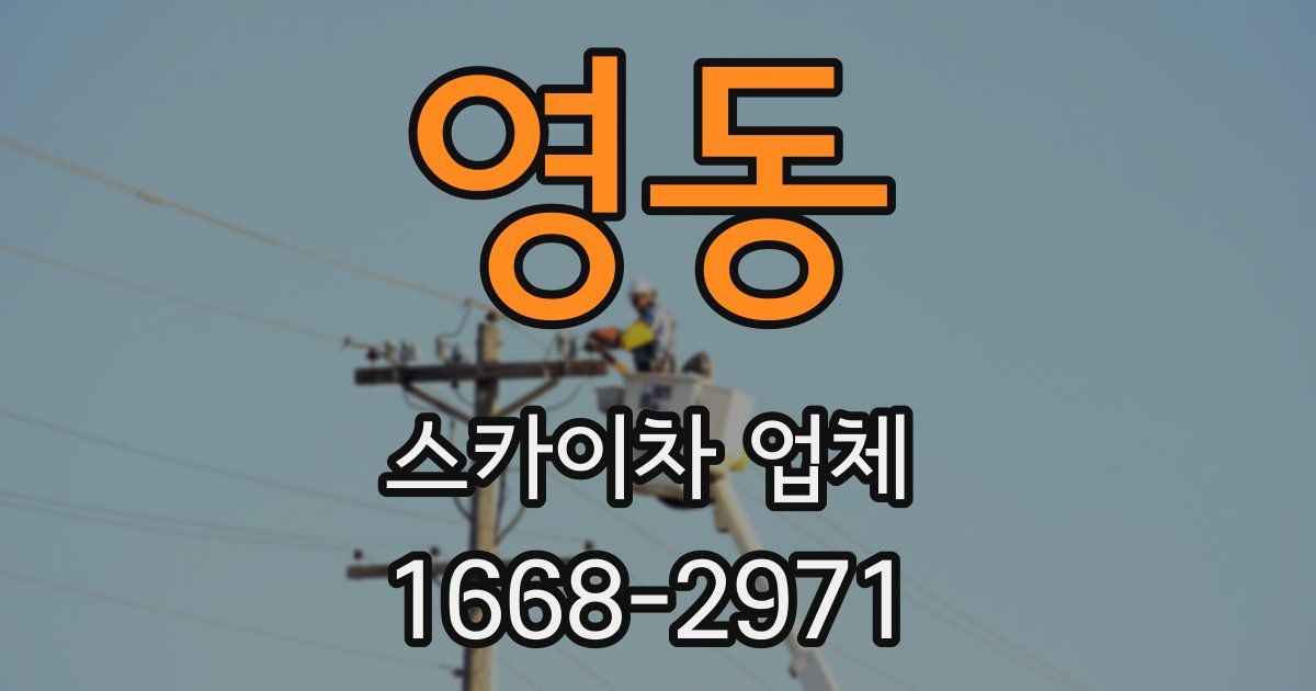 영동 스카이차 업체