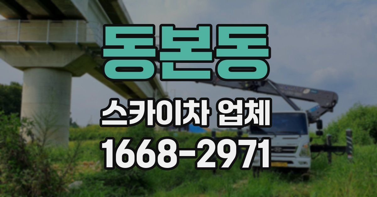 동본동 스카이차 업체