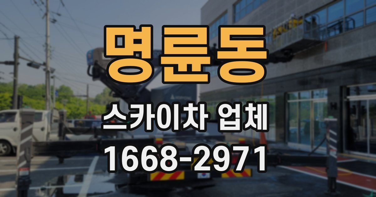 명륜동 스카이차 업체