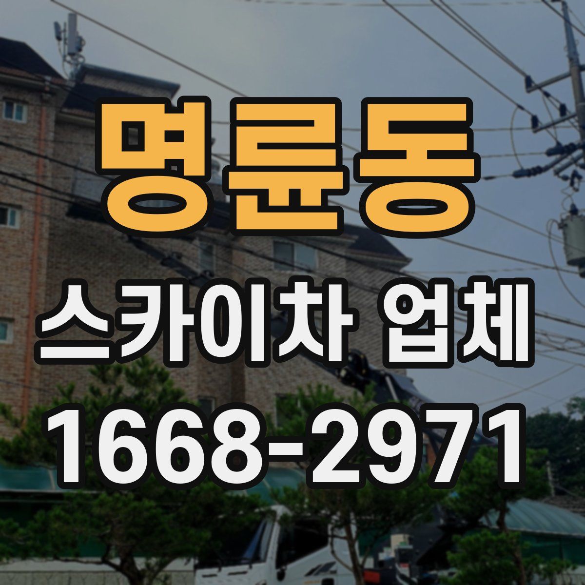명륜동 스카이차 업체