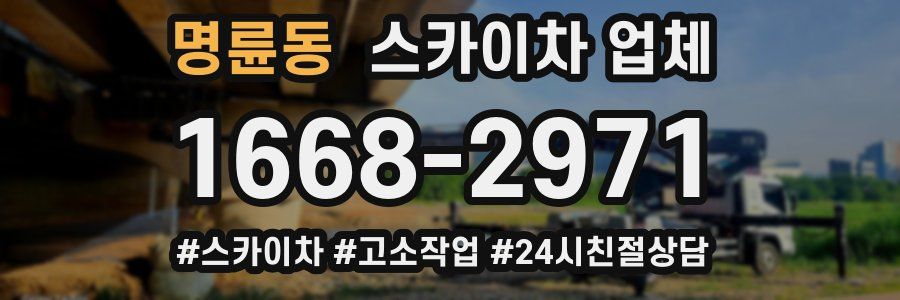 명륜동 스카이차 업체
