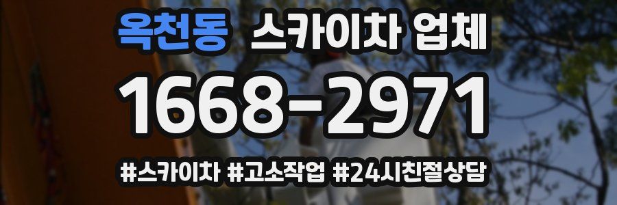 옥천동 스카이차 업체
