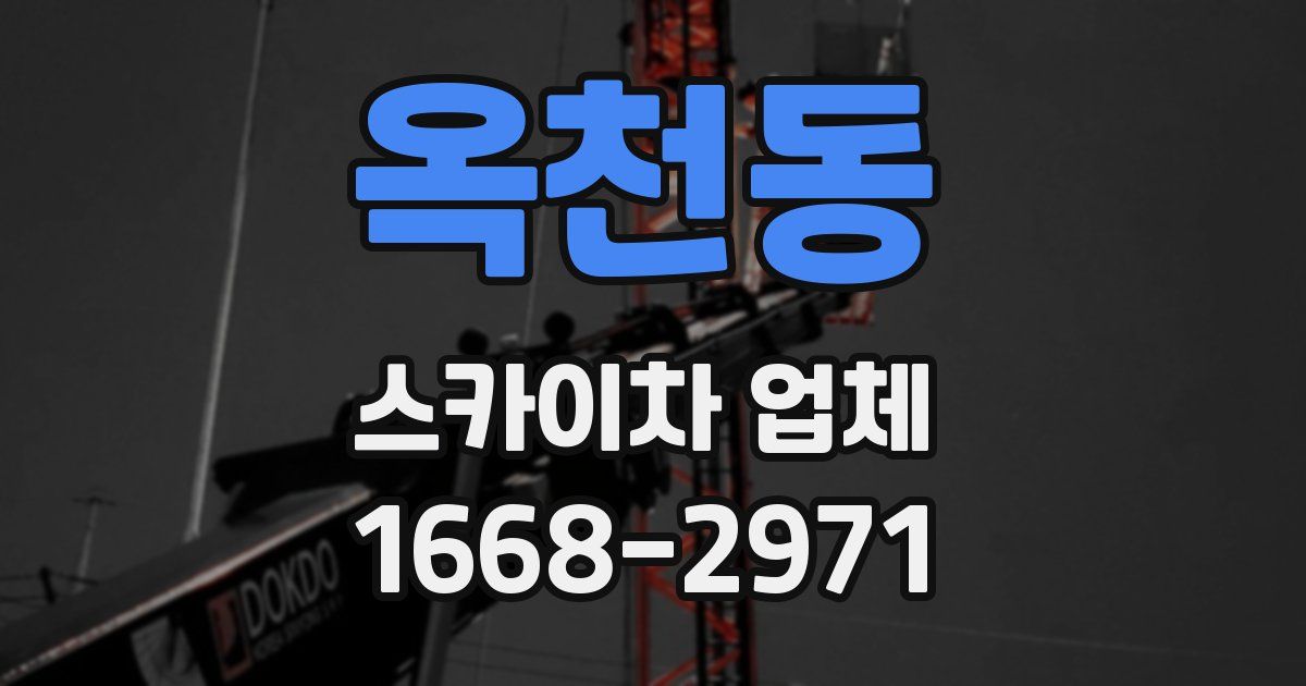 옥천동 스카이차 업체