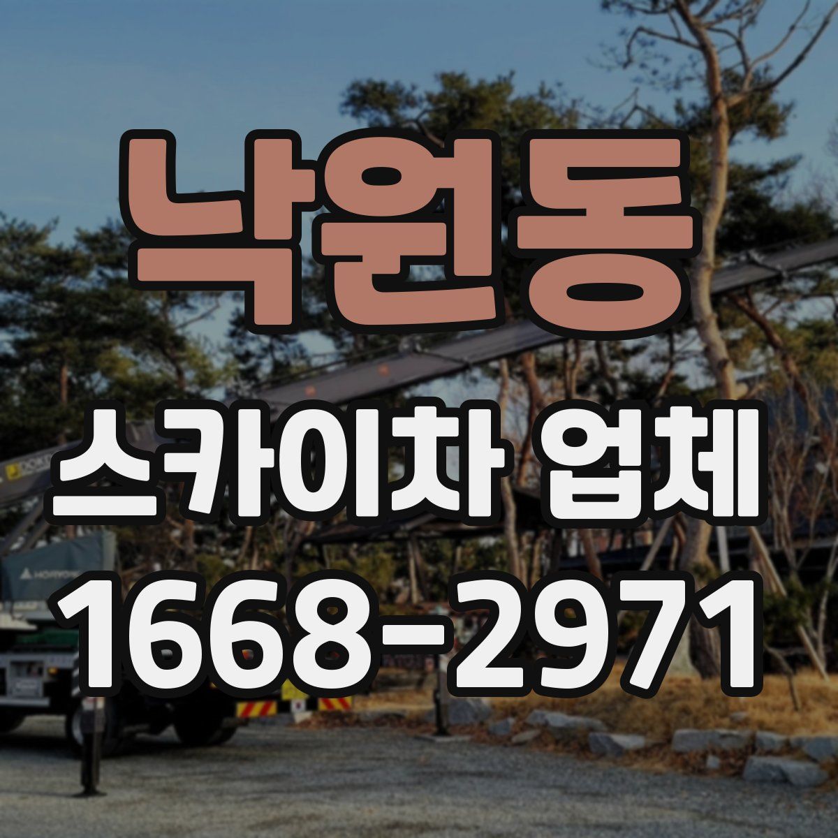 낙원동 스카이차 업체