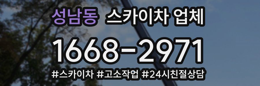 성남동 스카이차 업체