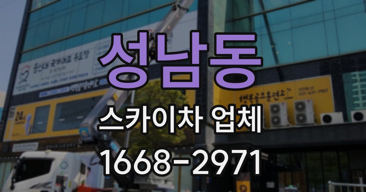 성남동 스카이차 업체