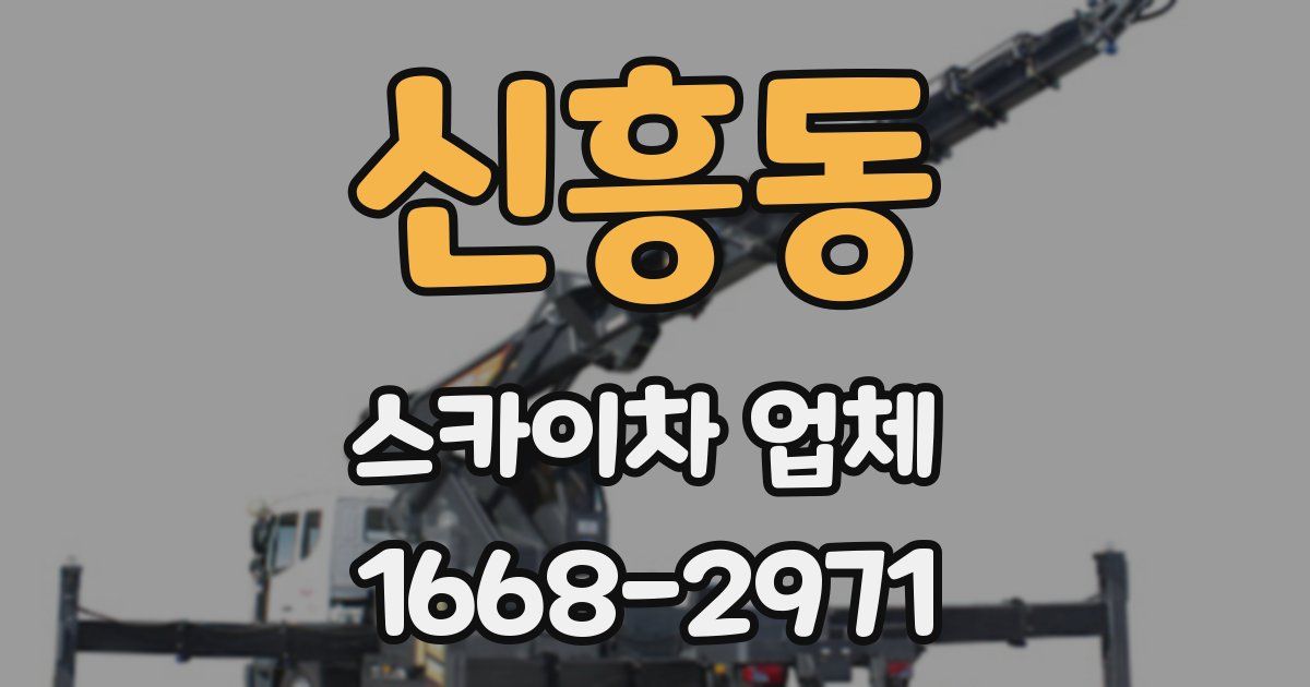 신흥동 스카이차 업체