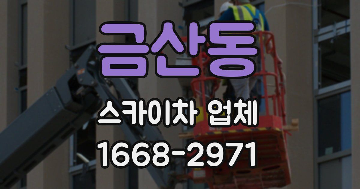 금산동 스카이차 업체