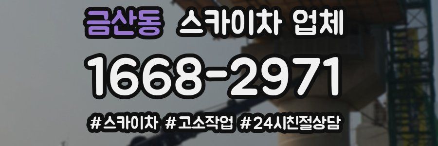 금산동 스카이차 업체
