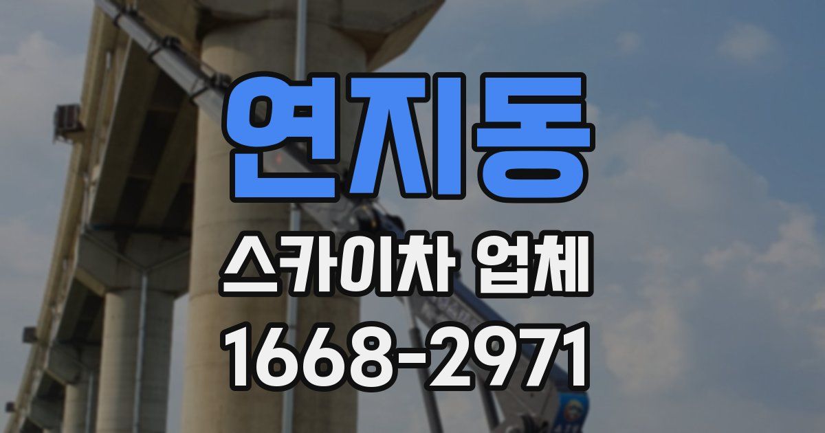 연지동 스카이차 업체