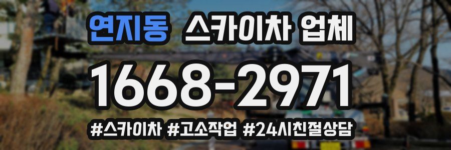 연지동 스카이차 업체