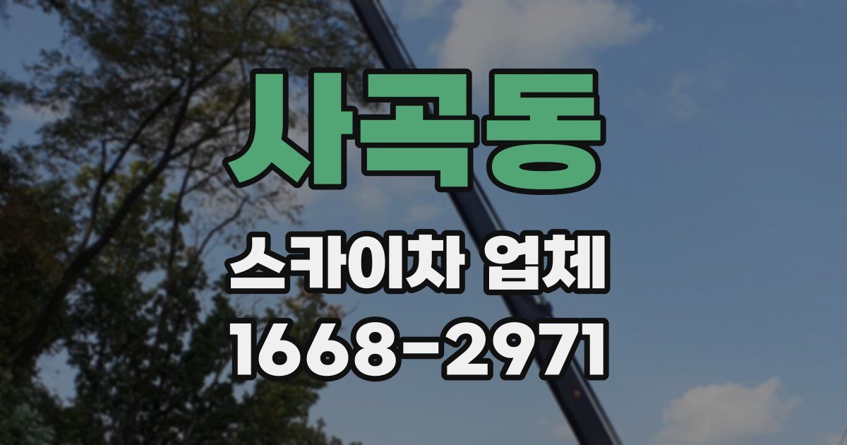 사곡동 스카이차 업체