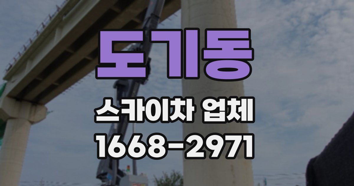 도기동 스카이차 업체