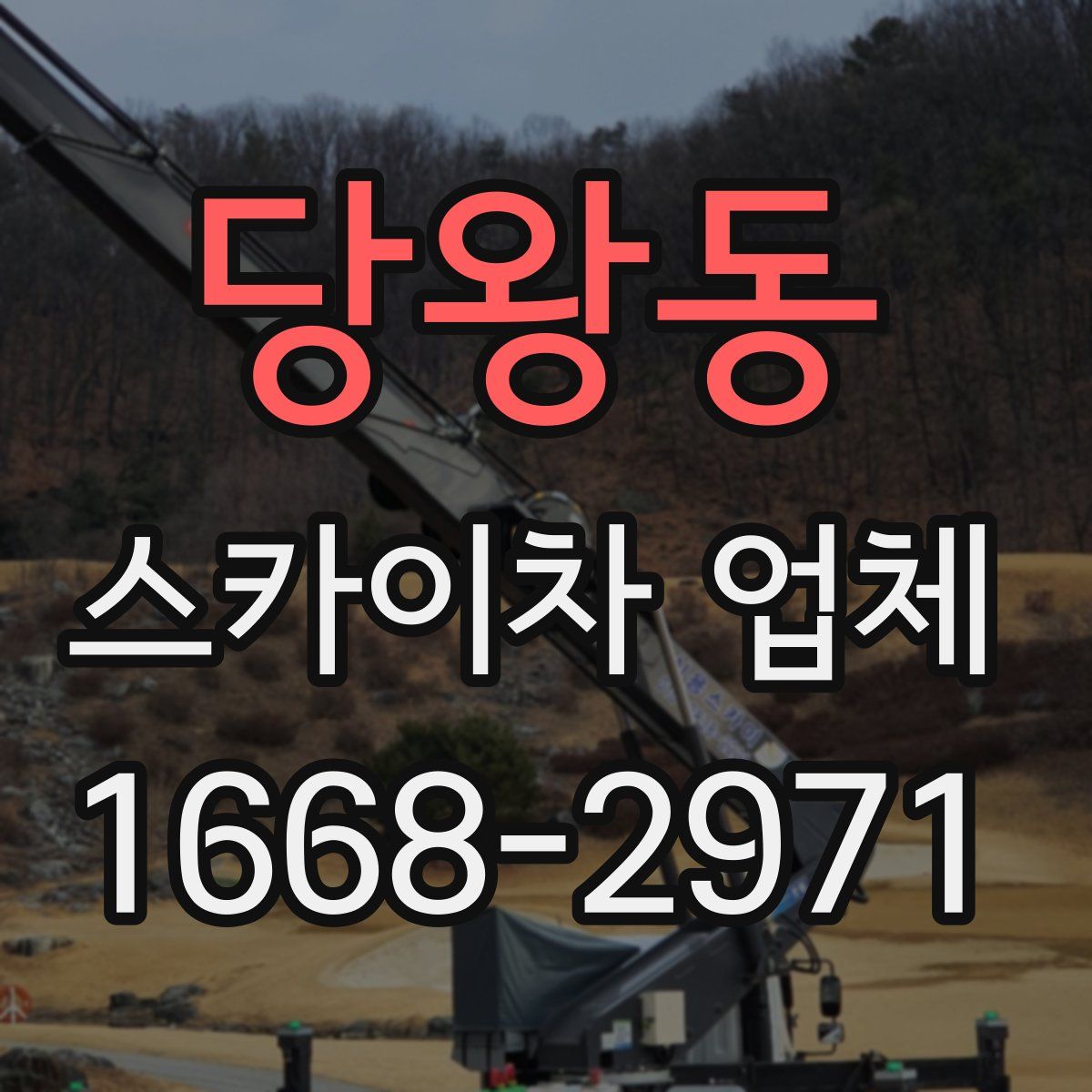 당왕동 스카이차 업체