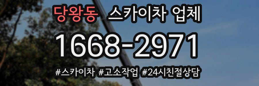 당왕동 스카이차 업체