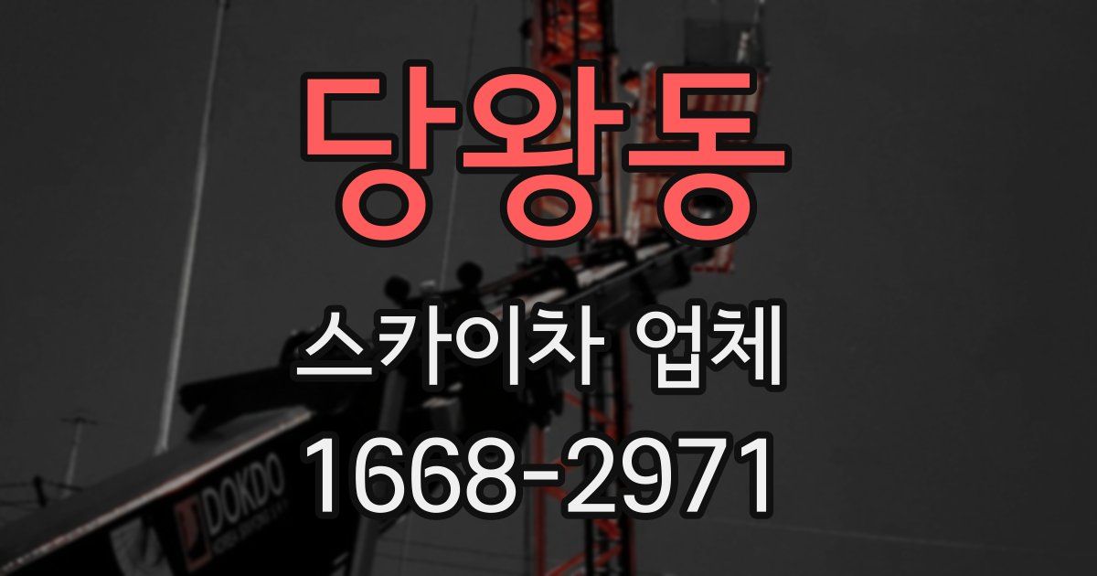 당왕동 스카이차 업체