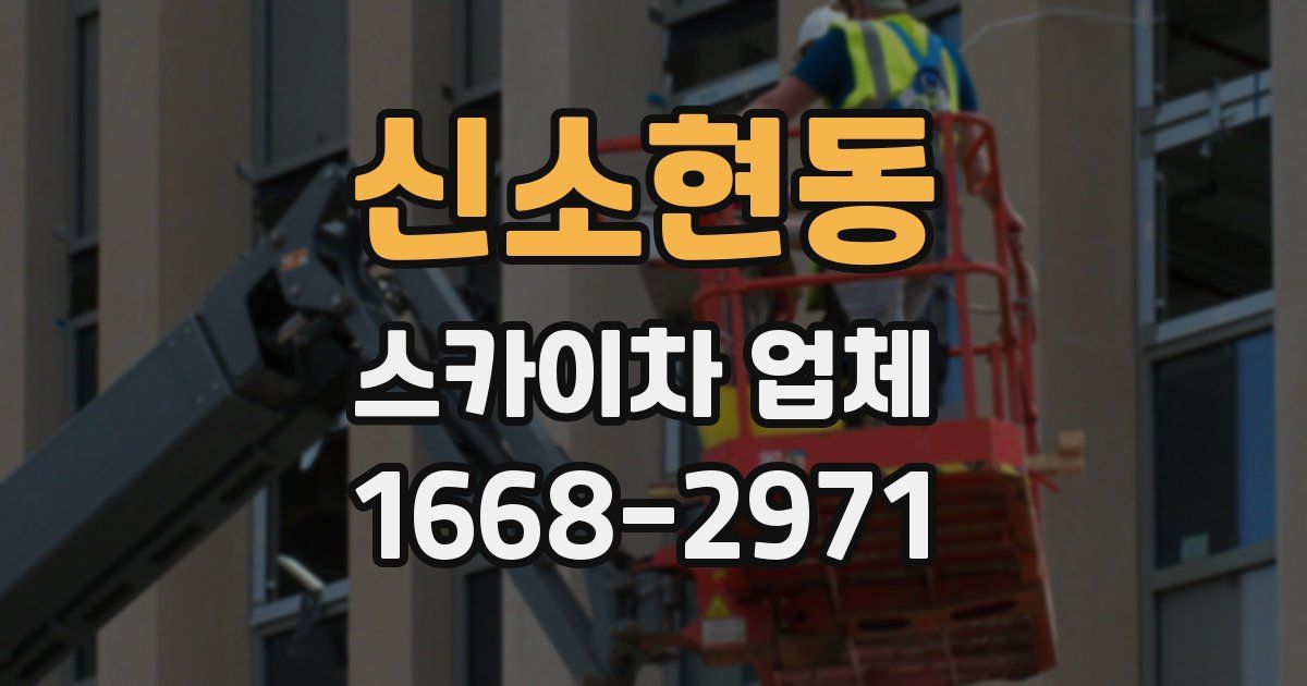 신소현동 스카이차 업체