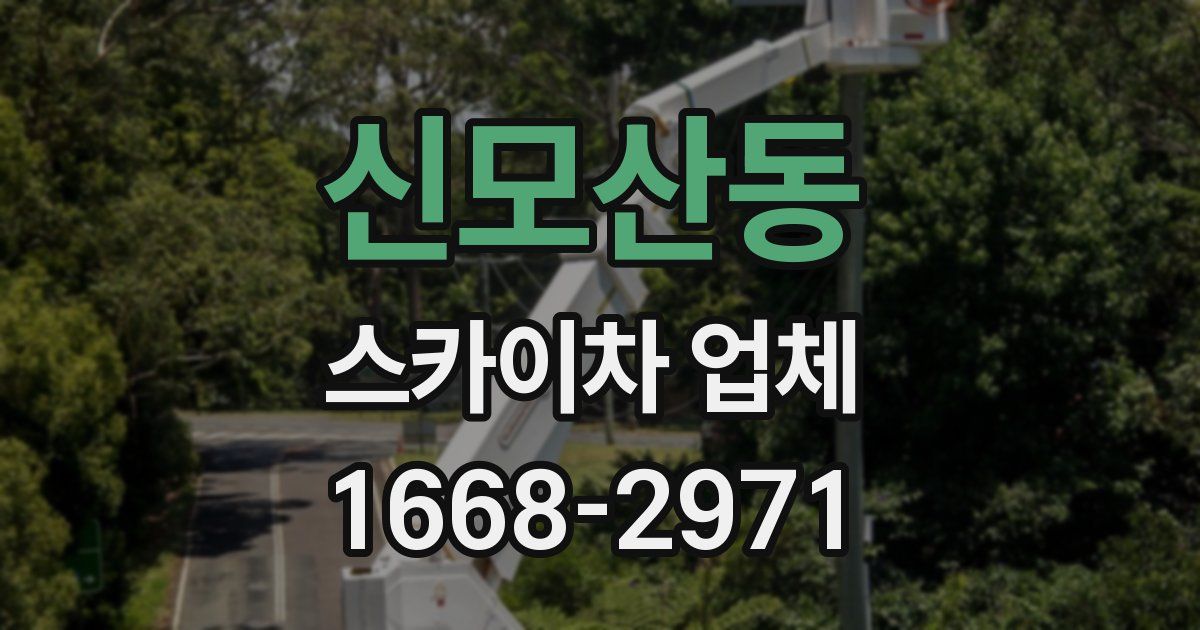 신모산동 스카이차 업체
