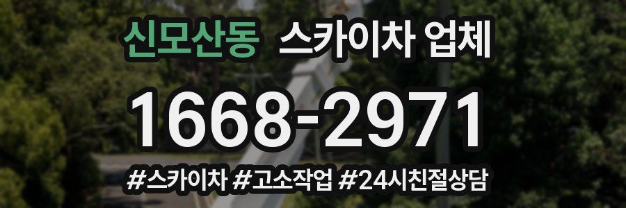 신모산동 스카이차 업체