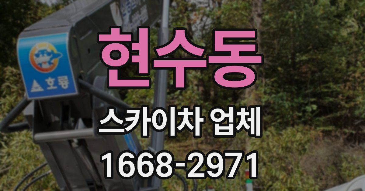 현수동 스카이차 업체