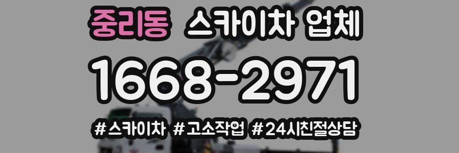 중리동 스카이차 업체