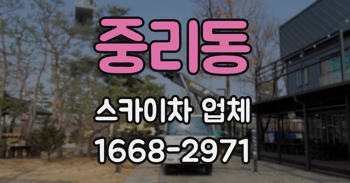 중리동 스카이차 업체