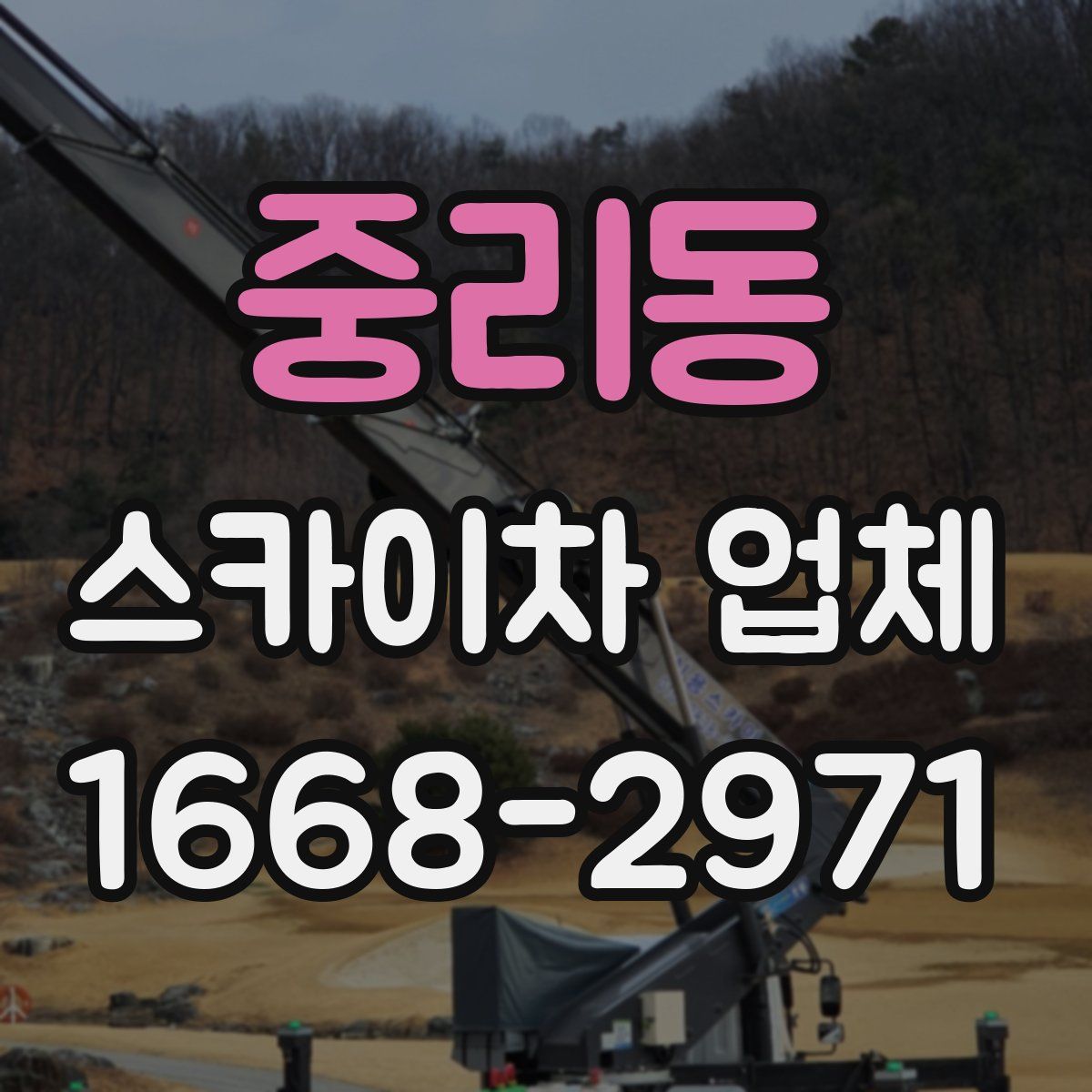 중리동 스카이차 업체