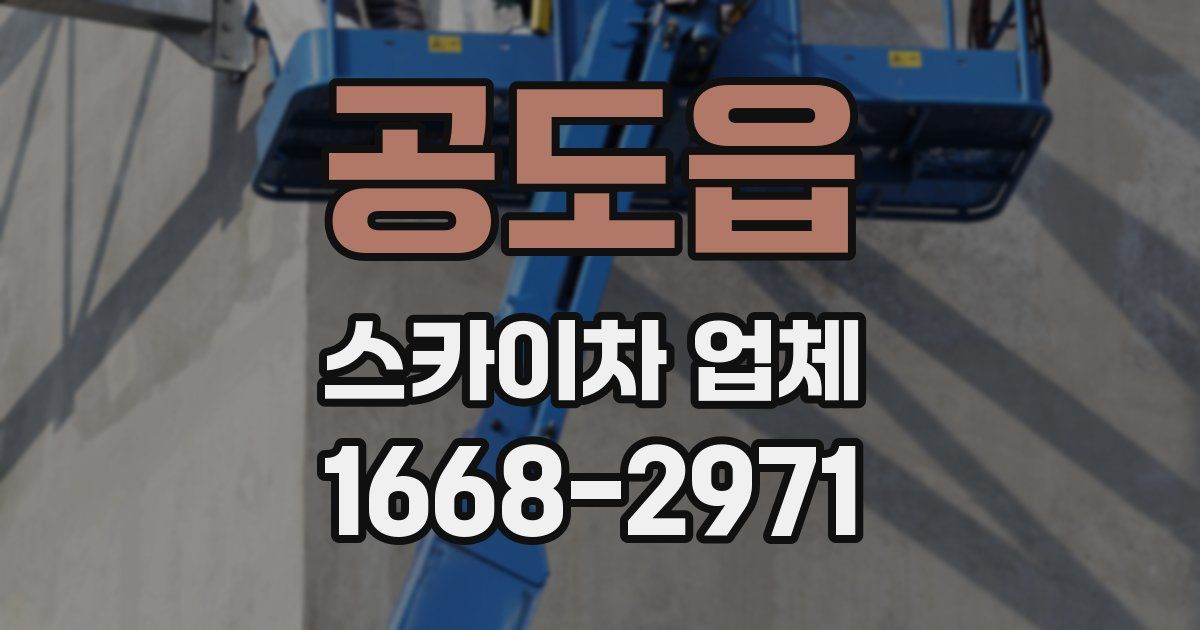공도읍 스카이차 업체