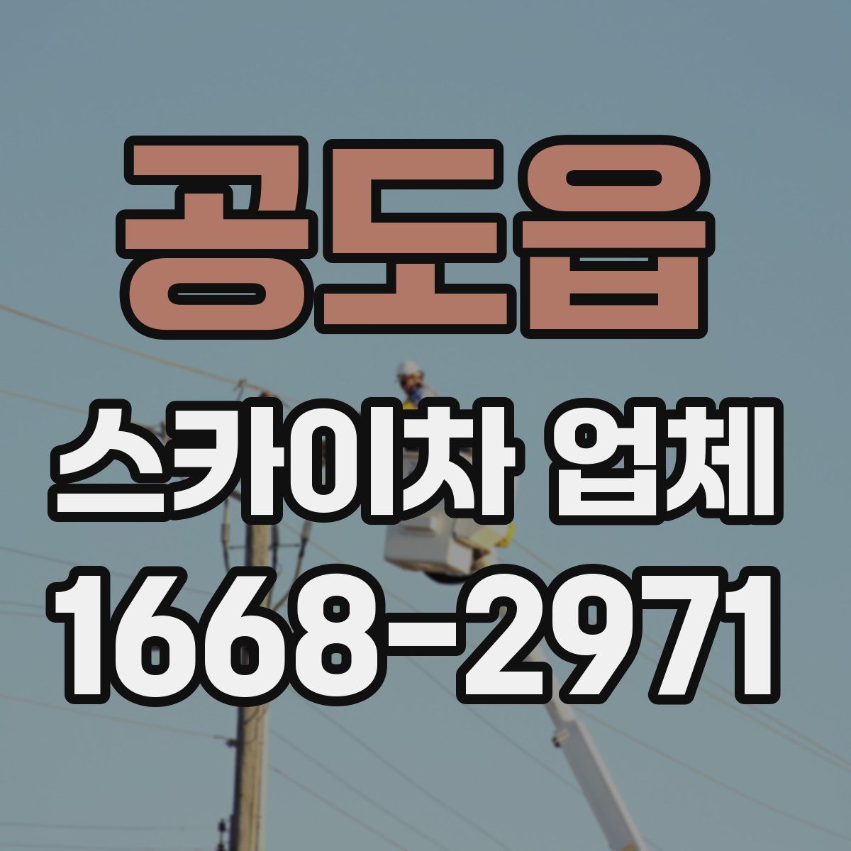 공도읍 스카이차 업체