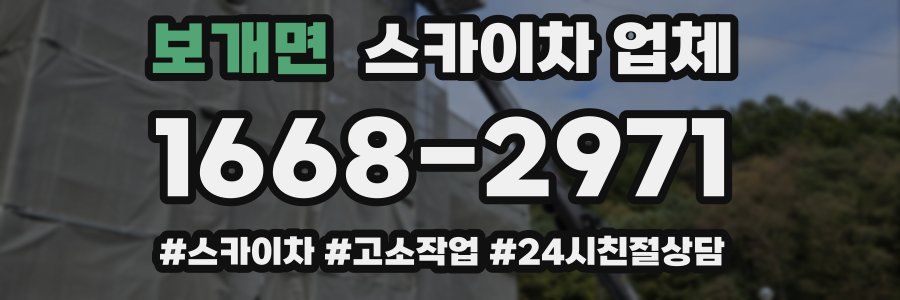 보개면 스카이차 업체