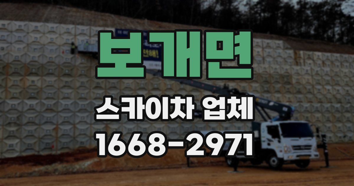 보개면 스카이차 업체