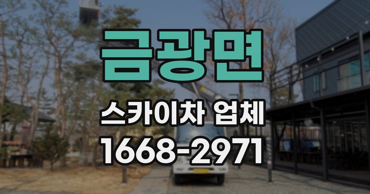 금광면 스카이차 업체