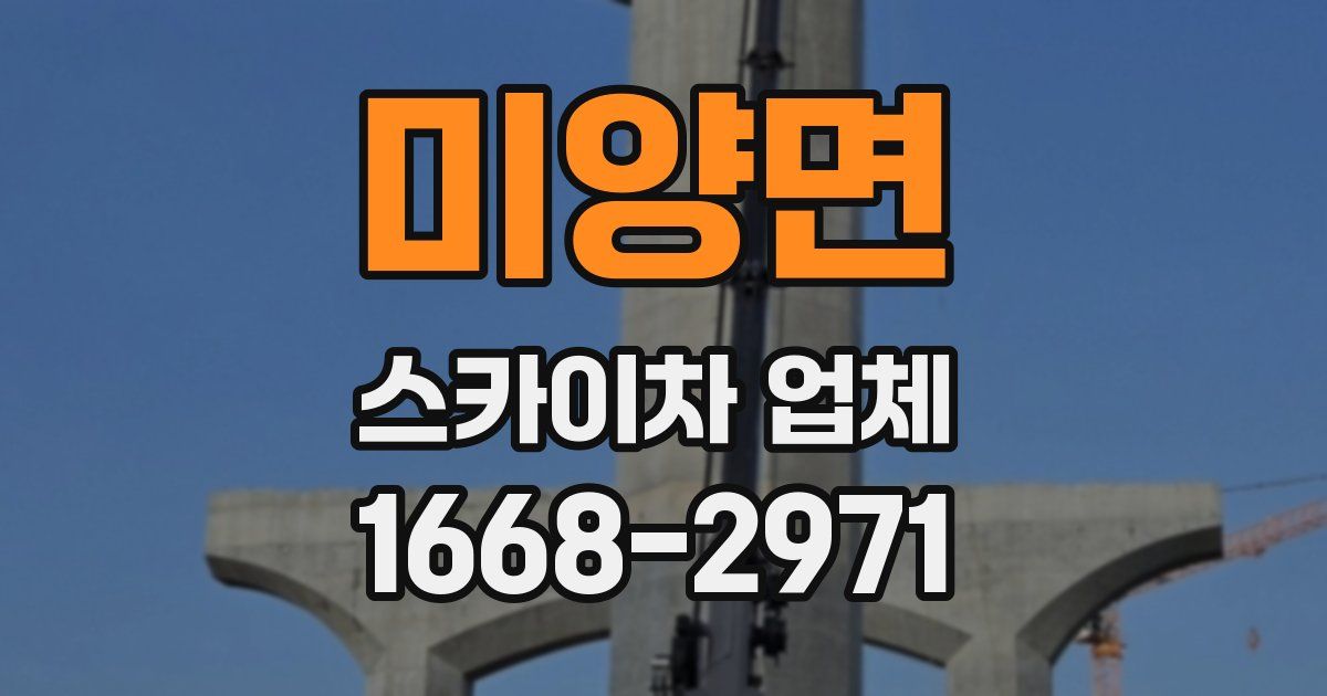 미양면 스카이차 업체