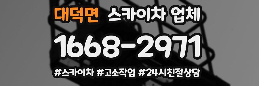 대덕면 스카이차 업체