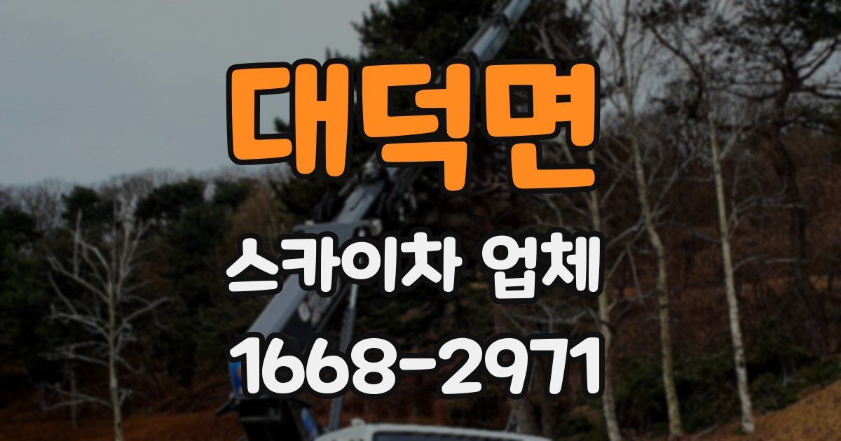 대덕면 스카이차 업체