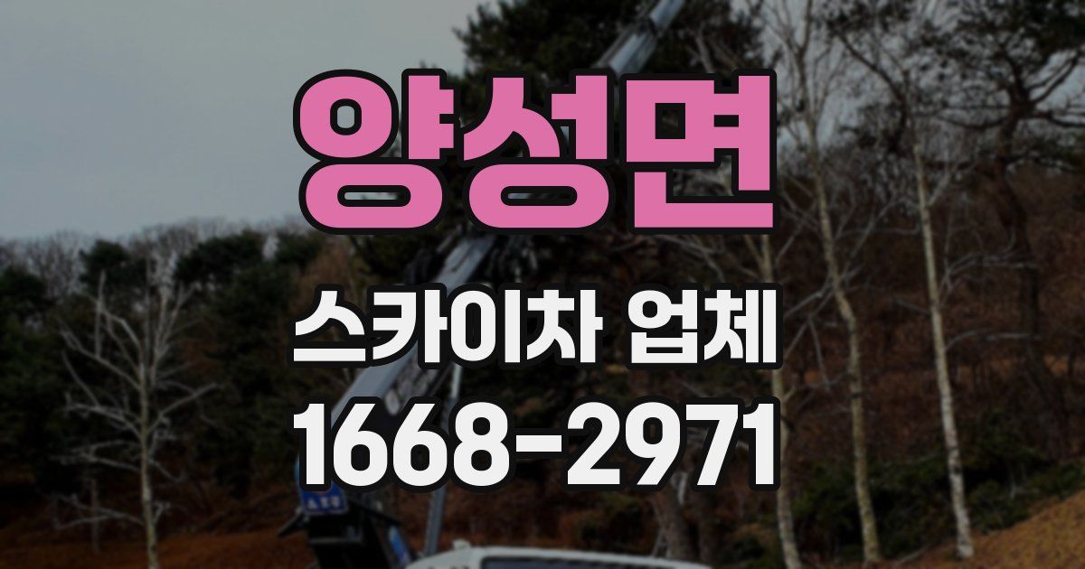 양성면 스카이차 업체