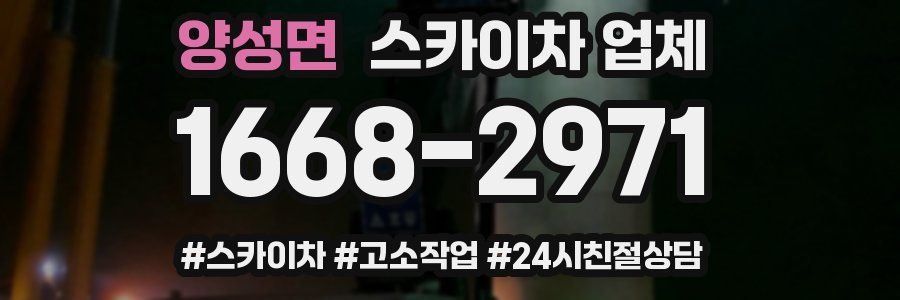 양성면 스카이차 업체