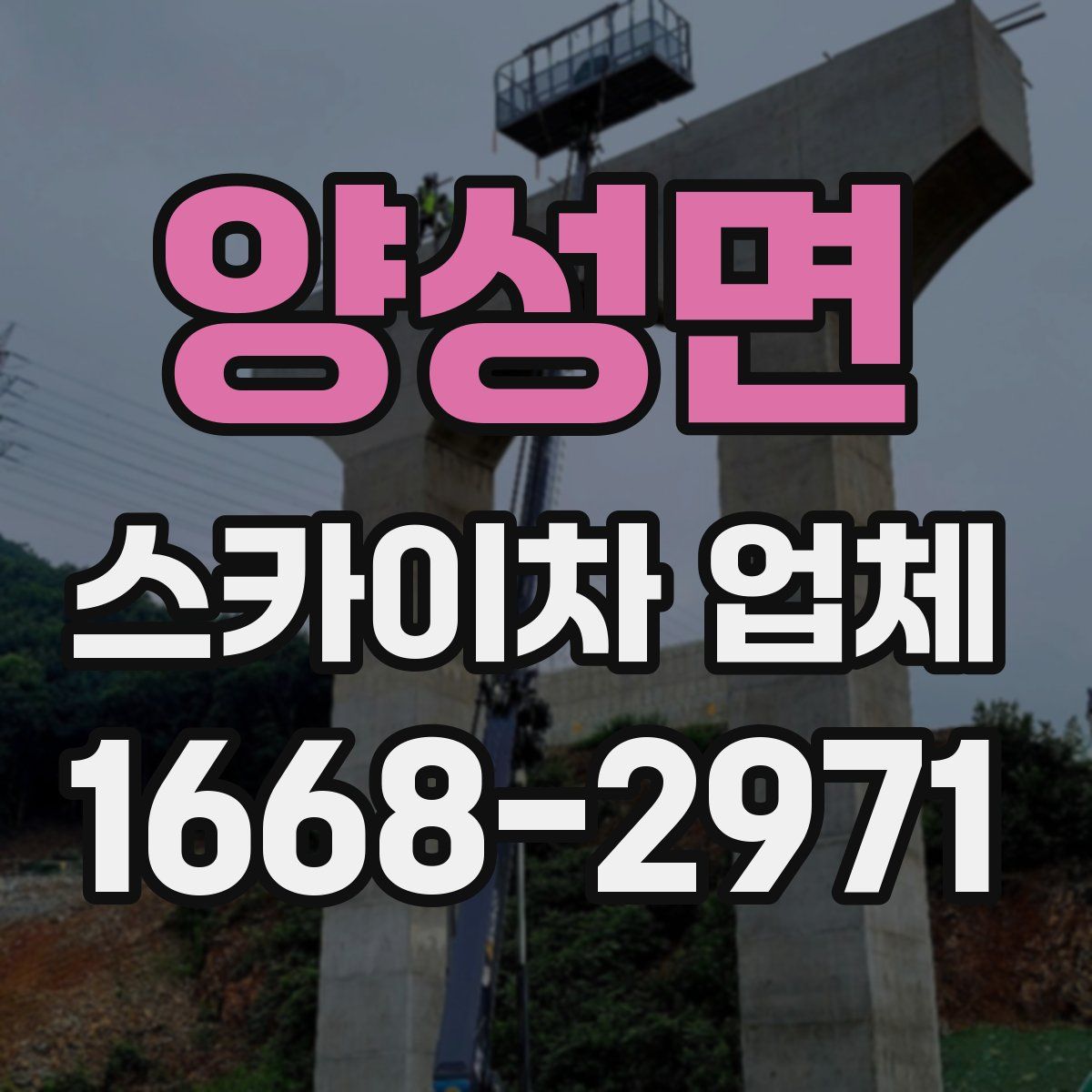 양성면 스카이차 업체