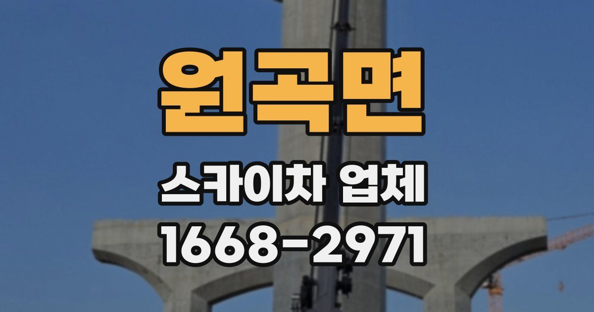 원곡면 스카이차 업체