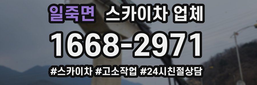 일죽면 스카이차 업체