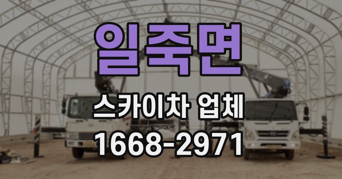 일죽면 스카이차 업체