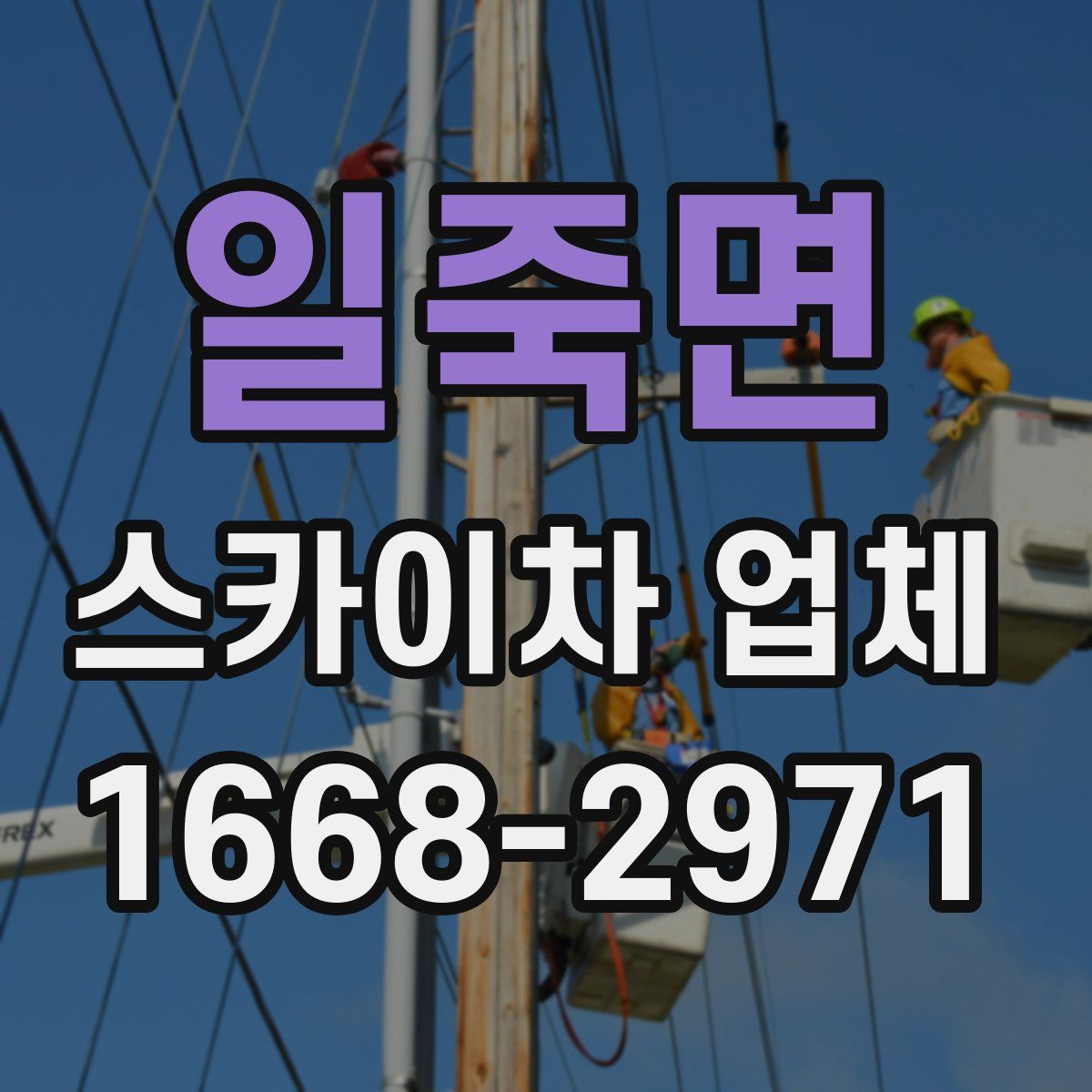 일죽면 스카이차 업체