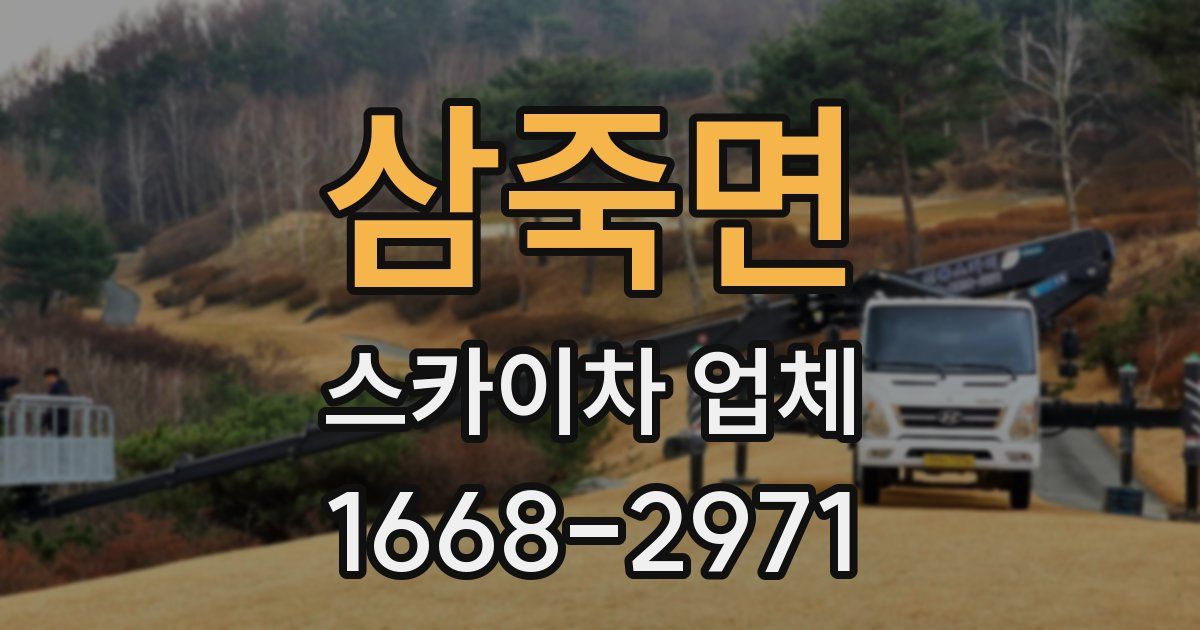 삼죽면 스카이차 업체